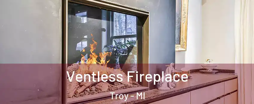  Ventless Fireplace Troy - MI
