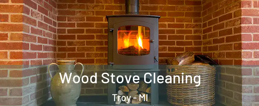  Wood Stove Cleaning Troy - MI